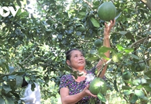 Khánh Hòa đưa vốn chương trình giảm nghèo đến với đồng bào miền núi